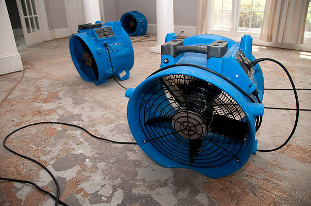 What is the difference between water damage restoration or remediation?